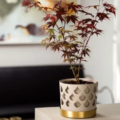 Trio Flower Pot Drop - Beige