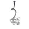 Turciù taklampe