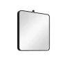 View Mirror S