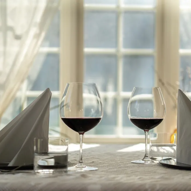 Vinum Pinot Noir Burgund 2-Pack