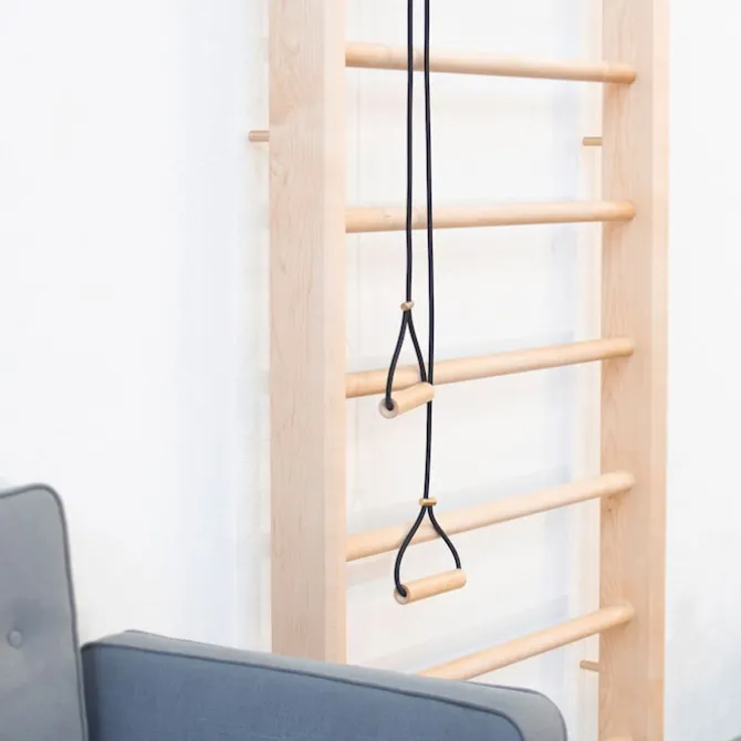 Wall Bars