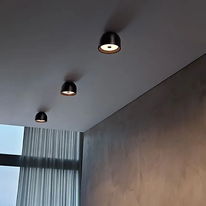 Wan Ceiling/Wall