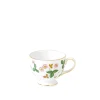 Wild Strawberry Teacup