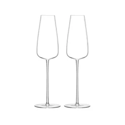 Wine Culture Champagne Flute - Set of 2