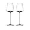 Zieher Vinglass Vision Fresh 2-Pack