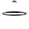 Zirkol - C Downlight